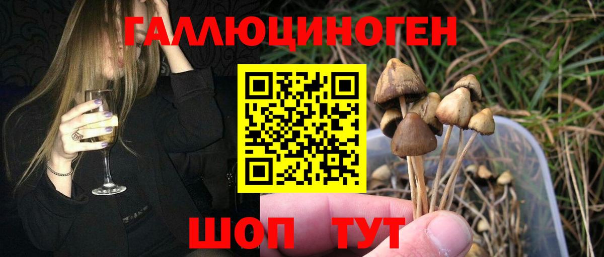 Галлюциногенные грибы GOLDEN TEACHER  Вход с VPN  Кызыл  Галлюциногенные грибы Magic Shrooms 